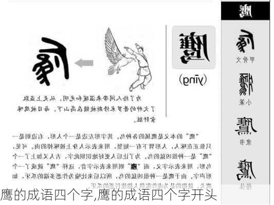 鹰的成语四个字,鹰的成语四个字开头