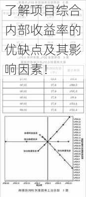 了解项目综合内部收益率的优缺点及其影响因素！