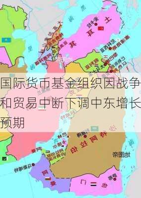 国际货币基金组织因战争和贸易中断下调中东增长预期