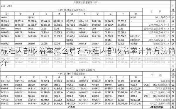 标准内部收益率怎么算？标准内部收益率计算方法简介