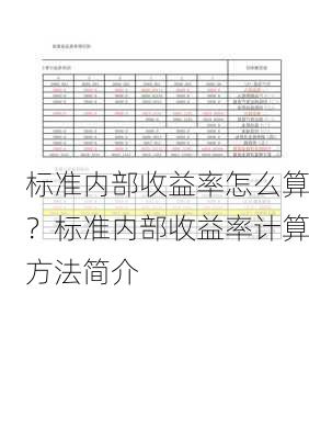 标准内部收益率怎么算？标准内部收益率计算方法简介