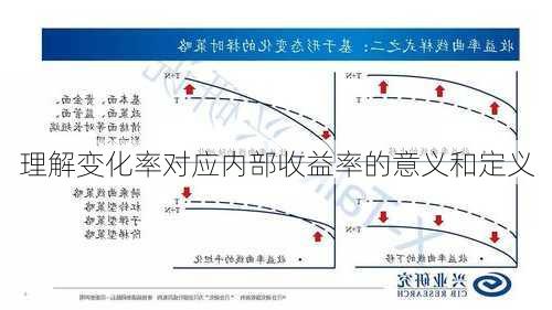 理解变化率对应内部收益率的意义和定义