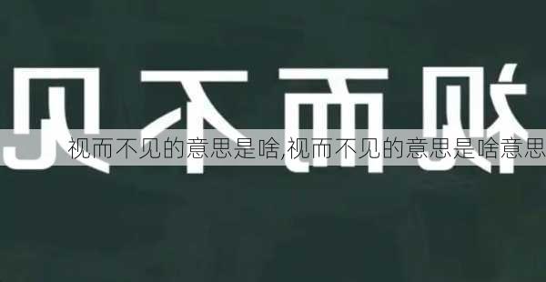 视而不见的意思是啥,视而不见的意思是啥意思