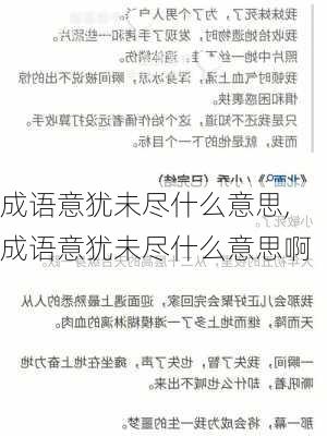 成语意犹未尽什么意思,成语意犹未尽什么意思啊