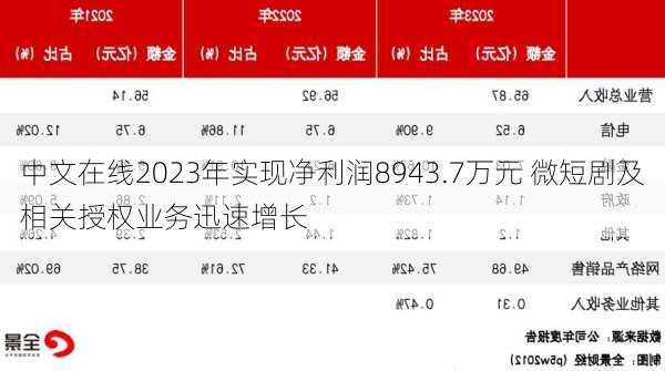 中文在线2023年实现净利润8943.7万元 微短剧及相关授权业务迅速增长