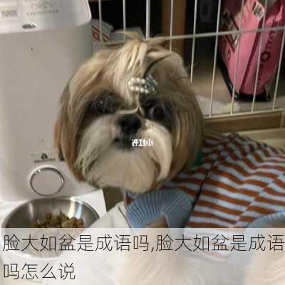 脸大如盆是成语吗,脸大如盆是成语吗怎么说