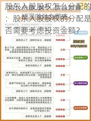 股东入股股权怎么分配的：股东入股股权的分配是否需要考虑投资金额？