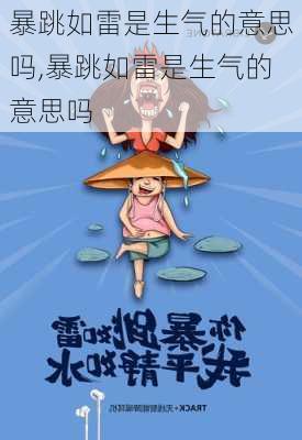 暴跳如雷是生气的意思吗,暴跳如雷是生气的意思吗