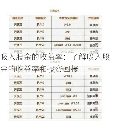 吸入股金的收益率：了解吸入股金的收益率和投资回报