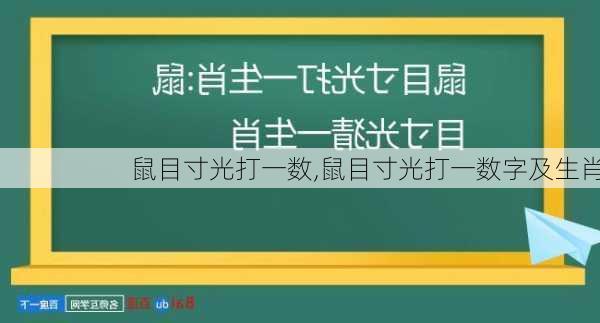 鼠目寸光打一数,鼠目寸光打一数字及生肖