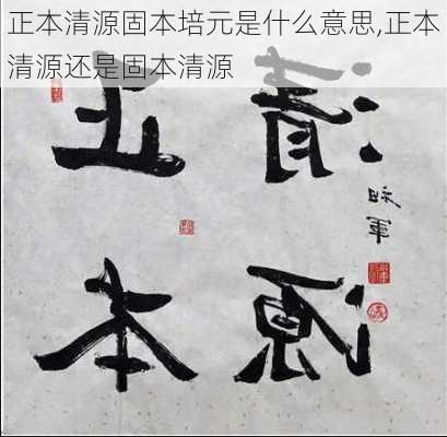 正本清源固本培元是什么意思,正本清源还是固本清源