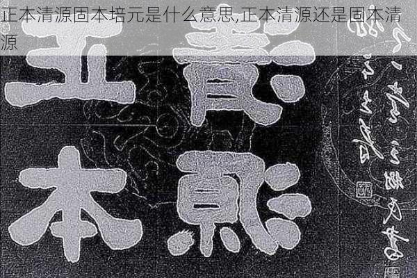 正本清源固本培元是什么意思,正本清源还是固本清源