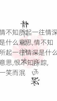 情不知所起一往情深是什么意思,情不知所起一往情深是什么意思,恨不知所踪,一笑而泯