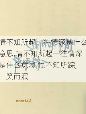 情不知所起一往情深是什么意思,情不知所起一往情深是什么意思,恨不知所踪,一笑而泯