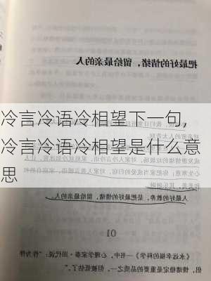 冷言冷语冷相望下一句,冷言冷语冷相望是什么意思