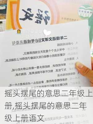 摇头摆尾的意思二年级上册,摇头摆尾的意思二年级上册语文