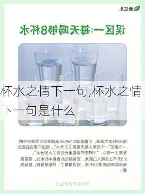 杯水之情下一句,杯水之情下一句是什么