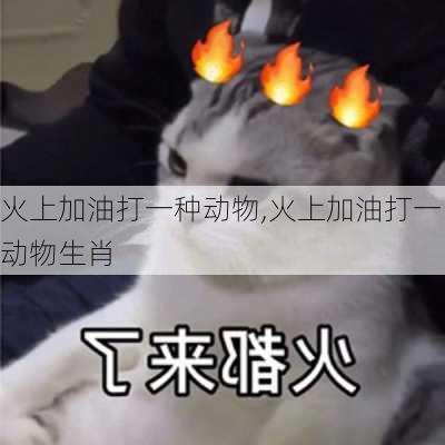 火上加油打一种动物,火上加油打一动物生肖