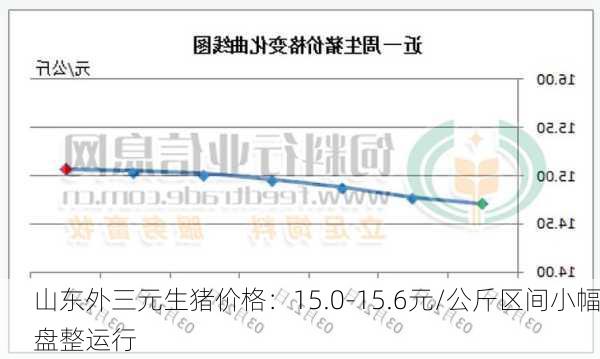 山东外三元生猪价格：15.0-15.6元/公斤区间小幅盘整运行