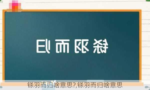 铩羽而归啥意思?,铩羽而归啥意思