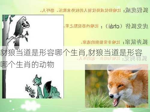 豺狼当道是形容哪个生肖,豺狼当道是形容哪个生肖的动物