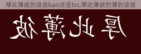 厚此薄彼的读音bao还是bo,厚此薄彼的薄的读音