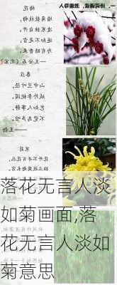 落花无言人淡如菊画面,落花无言人淡如菊意思