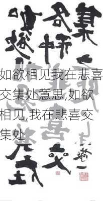 如欲相见我在悲喜交集处意思,如欲相见,我在悲喜交集处