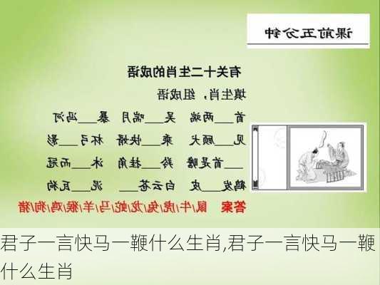 君子一言快马一鞭什么生肖,君子一言快马一鞭什么生肖