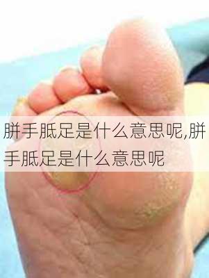 胼手胝足是什么意思呢,胼手胝足是什么意思呢