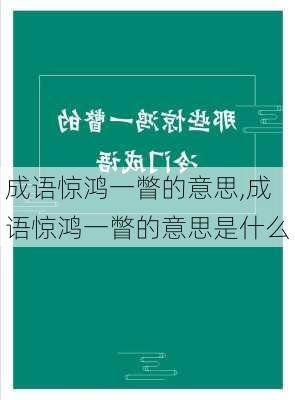 成语惊鸿一瞥的意思,成语惊鸿一瞥的意思是什么