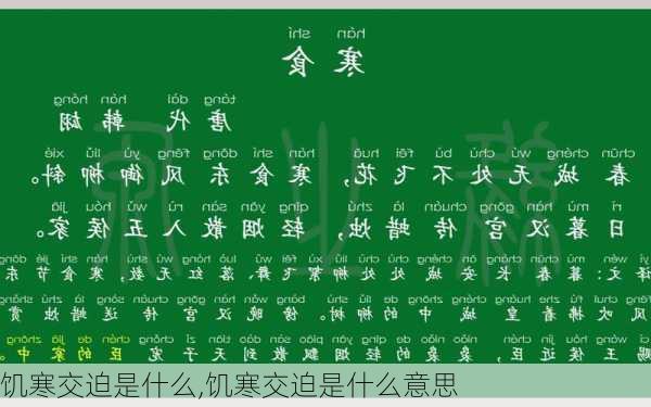 饥寒交迫是什么,饥寒交迫是什么意思