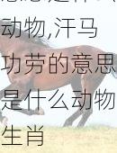 汗马功劳的意思是什么动物,汗马功劳的意思是什么动物生肖