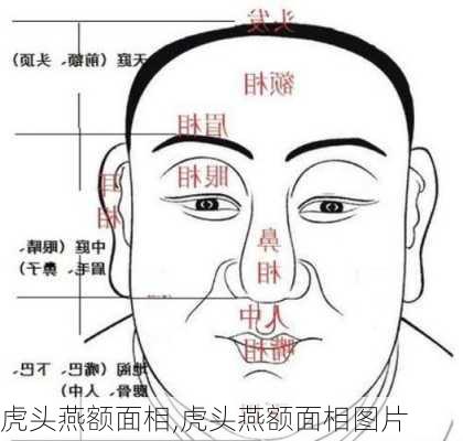 虎头燕额面相,虎头燕额面相图片