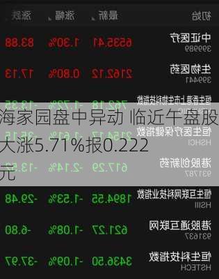 沿海家园盘中异动 临近午盘股价大涨5.71%报0.222港元