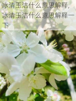 冰清玉洁什么意思解释,冰清玉洁什么意思解释一下