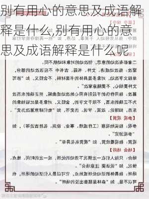 别有用心的意思及成语解释是什么,别有用心的意思及成语解释是什么呢