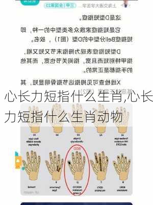 心长力短指什么生肖,心长力短指什么生肖动物