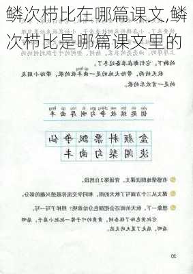 鳞次栉比在哪篇课文,鳞次栉比是哪篇课文里的