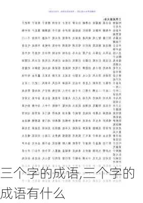 三个字的成语,三个字的成语有什么