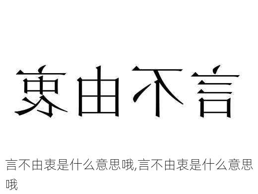 言不由衷是什么意思哦,言不由衷是什么意思哦