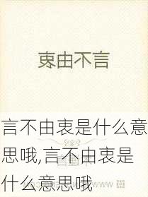 言不由衷是什么意思哦,言不由衷是什么意思哦