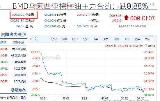 BMD马来西亚棕榈油主力合约：跌0.88%