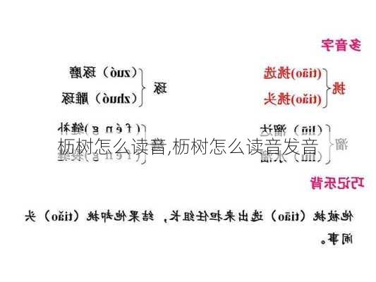 枥树怎么读音,枥树怎么读音发音