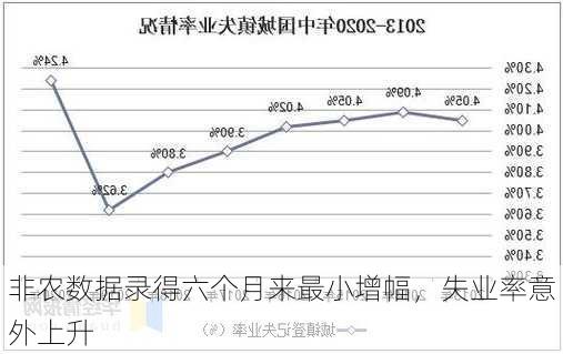 非农数据录得六个月来最小增幅，失业率意外上升