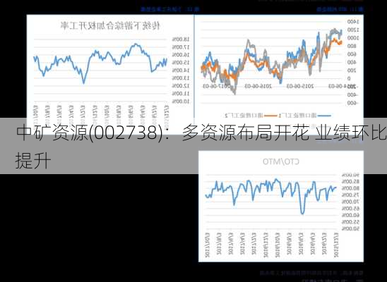 中矿资源(002738)：多资源布局开花 业绩环比提升