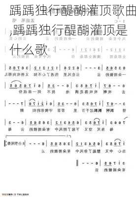 踽踽独行醍醐灌顶歌曲,踽踽独行醍醐灌顶是什么歌