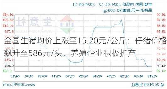 全国生猪均价上涨至15.20元/公斤：仔猪价格飙升至586元/头，养殖企业积极扩产