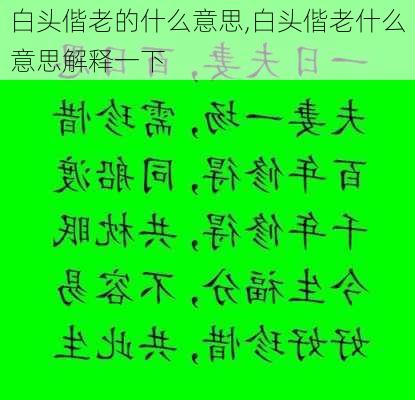 白头偕老的什么意思,白头偕老什么意思解释一下