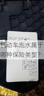 机动车泡水属于哪种保险类型？